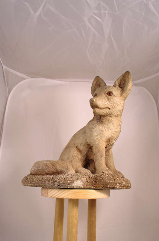 Original fox photograph for selected view