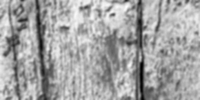 Weathered wood inferred height prior